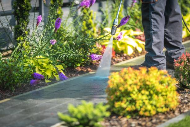 Best Boat and Dock Cleaning  in Comstock Park, MI